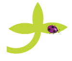 banner1